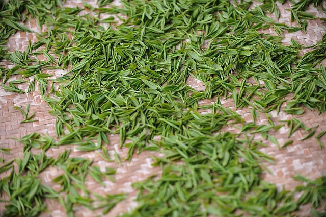 Den bedste slags te: Fordelene og helbredende egenskaber ved grøn te